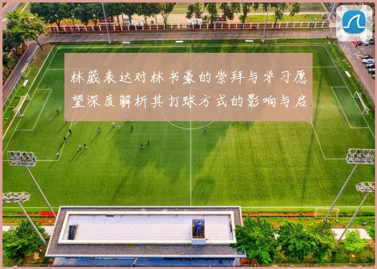 林葳表达对林书豪的崇拜与学习愿望深度解析其打球方式的影响与启发